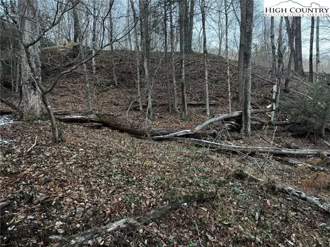 tbd Devils Lake Dr, Seven Devils, NC 28604 photo 2