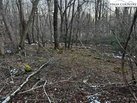 tbd Devils Lake Dr, Seven Devils, NC 28604 photo 6