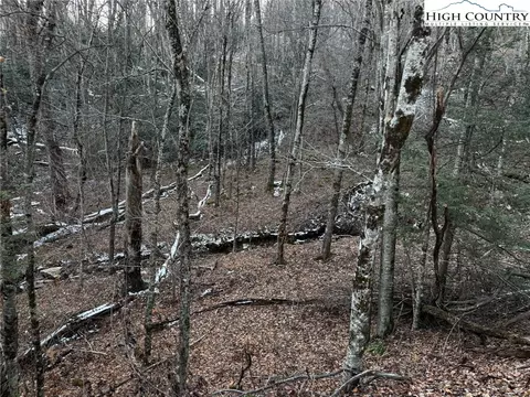 tbd Devils Lake Dr, Seven Devils, NC 28604 photo 3