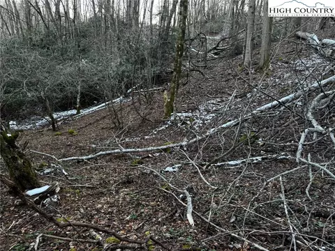tbd Devils Lake Dr, Seven Devils, NC 28604 photo 5