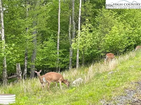 tbd Fox Crest Ln, Beech Mountain, NC 28604 photo 10