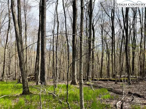 203 Sawmill Branch Rd, Beech Mountain, NC 28604 photo 6