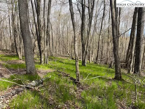 203 Sawmill Branch Rd, Beech Mountain, NC 28604 photo 7