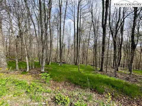 203 Sawmill Branch Rd, Beech Mountain, NC 28604 photo 3