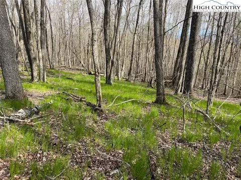 203 Sawmill Branch Rd, Beech Mountain, NC 28604 photo 5