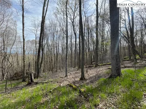 203 Sawmill Branch Rd, Beech Mountain, NC 28604 photo 4