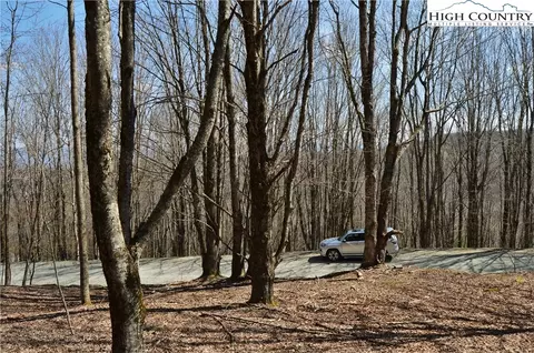 133 E Blueberry Ln, Beech Mountain, NC 28604