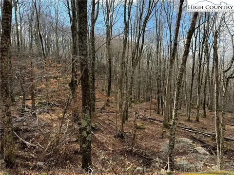 122 Whipporwill Way, Beech Mountain, NC 28604 photo 5
