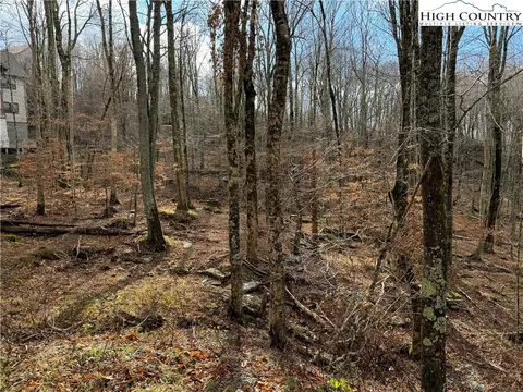 122 Whipporwill Way, Beech Mountain, NC 28604 photo 6