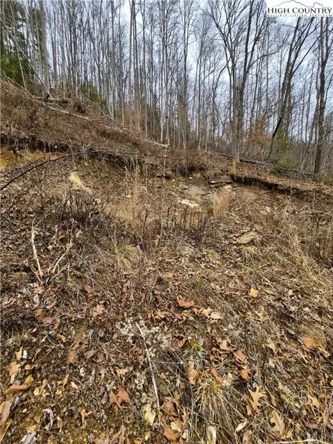 tbd Riverside Ln, Crumpler, NC 28617 photo 5