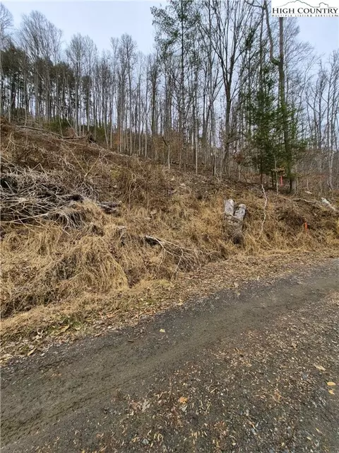 tbd Riverside Ln, Crumpler, NC 28617 photo 4