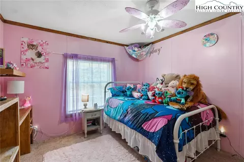 8807 Nc Highway 194 N Hwy, Todd, NC 28684 photo 19