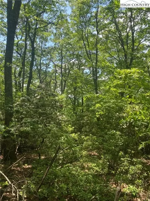 tbd E Mill Creek Rd, Todd, NC 28684