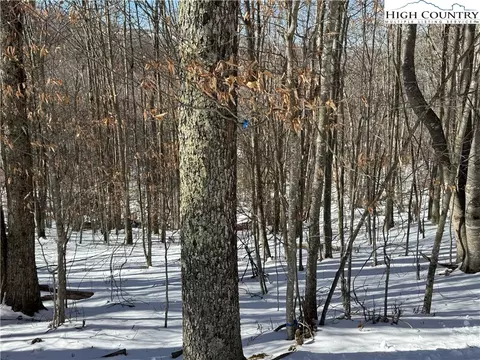 120 Aster Trl, Beech Mountain, NC 28604 photo 2