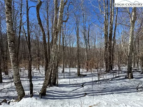 120 Aster Trl, Beech Mountain, NC 28604 photo 3