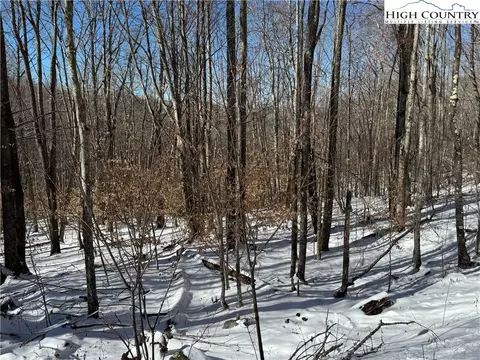 120 Aster Trl, Beech Mountain, NC 28604 photo 6