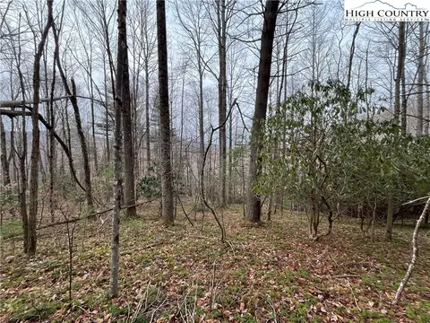 17 Solitude Ln, Todd, NC 28684 photo 2