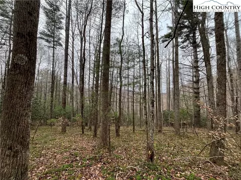 17 Solitude Ln, Todd, NC 28684 photo 3