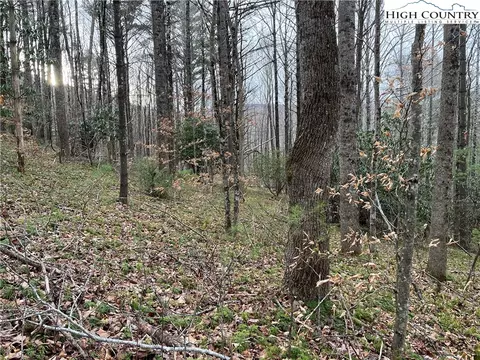 17 Solitude Ln, Todd, NC 28684 photo 8