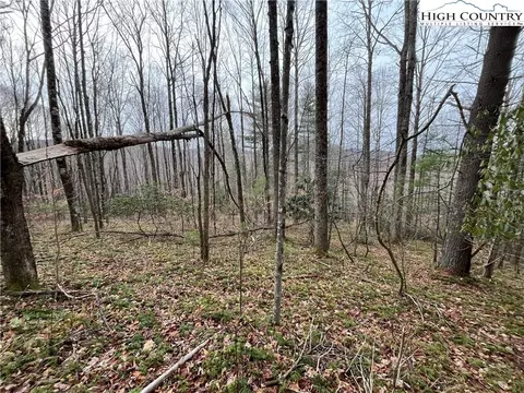 17 Solitude Ln, Todd, NC 28684 photo 6