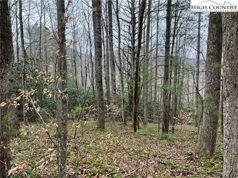 17 Solitude Ln, Todd, NC 28684 photo 10