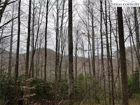 17 Solitude Ln, Todd, NC 28684