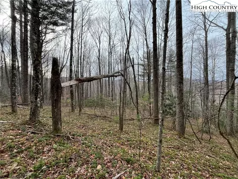 17 Solitude Ln, Todd, NC 28684 photo 5