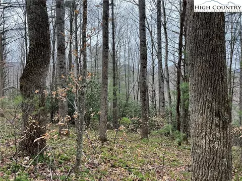 17 Solitude Ln, Todd, NC 28684 photo 9