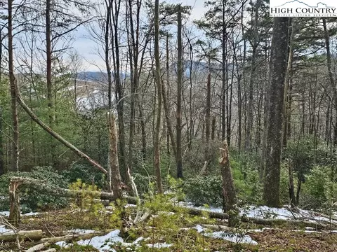 tbd Bear Hollow Ln, Ennice, NC 28623