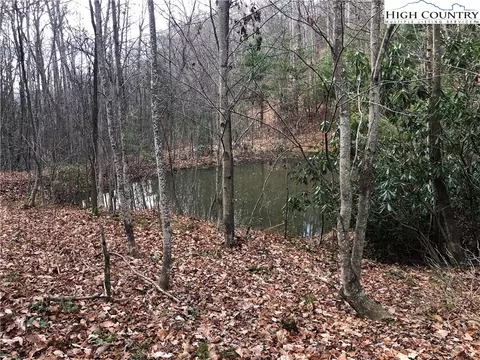 lot222 B Casey Mountain Rd, Purlear, NC 28665 photo 16
