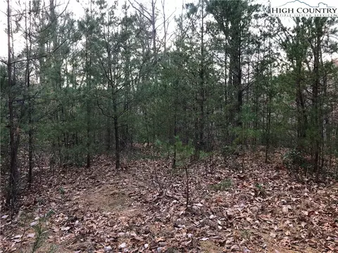 lot222 B Casey Mountain Rd, Purlear, NC 28665 photo 12