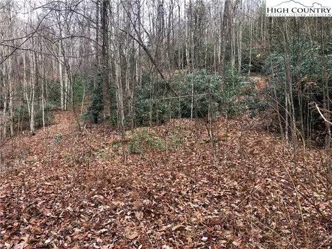lot222 B Casey Mountain Rd, Purlear, NC 28665 photo 13