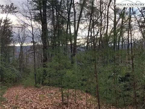 lot222 B Casey Mountain Rd, Purlear, NC 28665 photo 18