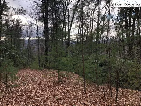 lot222 B Casey Mountain Rd, Purlear, NC 28665 photo 2