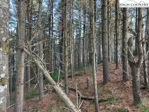 tbd Lot 308 Fawn Ln, West Jefferson, NC 28694