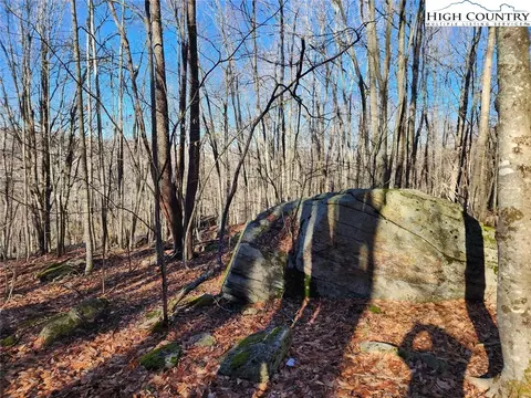 111 Thistle Ln, Beech Mountain, NC 28604 photo 4