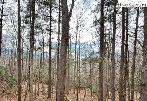 Other - 741 Pine Ridge Rd, Beech Mountain, NC 28604 photo 1 of 3