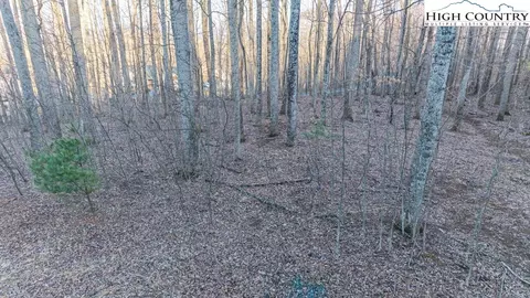 0 Luther Rd Fall St, Jefferson, NC 28640 photo 5