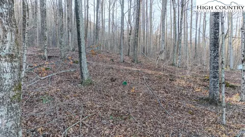 0 Luther Rd Fall St, Jefferson, NC 28640 photo 10