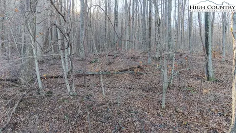 0 Luther Rd Fall St, Jefferson, NC 28640 photo 11