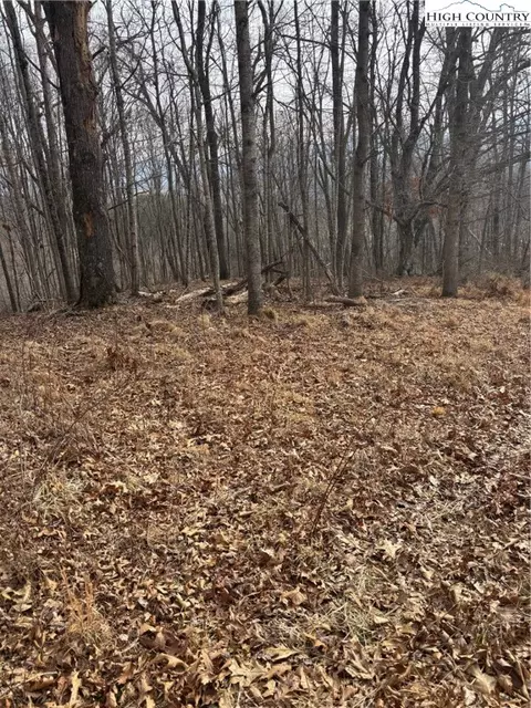 tbd Pioneer Rdg, Piney Creek, NC 28663