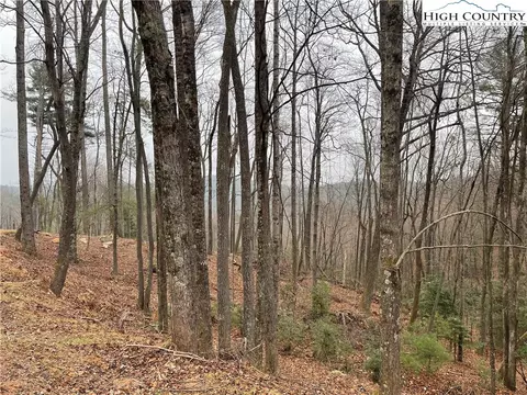 lot23 High Forest Trl, Deep Gap, NC 28622 photo 11