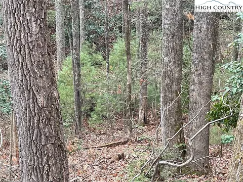 lot23 High Forest Trl, Deep Gap, NC 28622 photo 12
