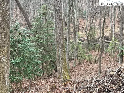 lot23 High Forest Trl, Deep Gap, NC 28622 photo 13
