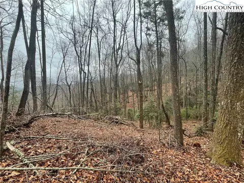 lot23 High Forest Trl, Deep Gap, NC 28622 photo 7