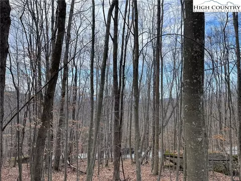 215 Wild Daisy Ln, Beech Mountain, NC 28604 photo 5