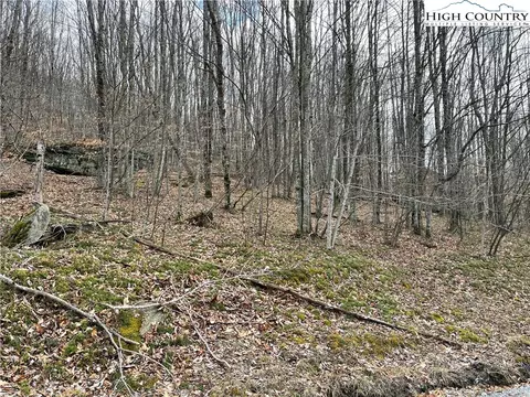 215 Wild Daisy Ln, Beech Mountain, NC 28604 photo 3