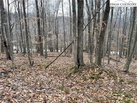 215 Wild Daisy Ln, Beech Mountain, NC 28604 photo 7