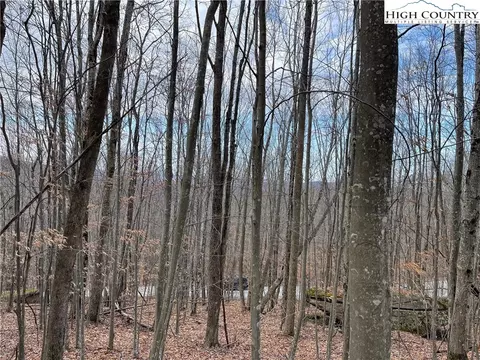 215 Wild Daisy Ln, Beech Mountain, NC 28604 photo 6