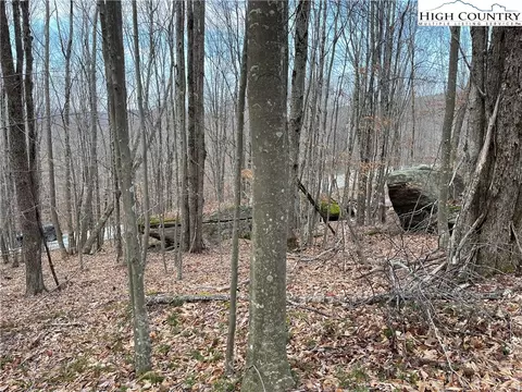 215 Wild Daisy Ln, Beech Mountain, NC 28604 photo 8